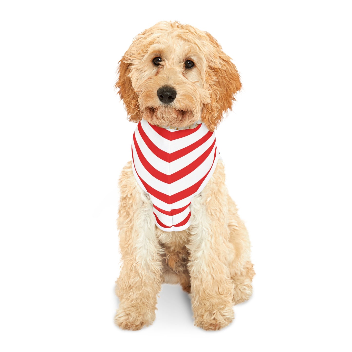 Popcorn Pet Hoodie Costume