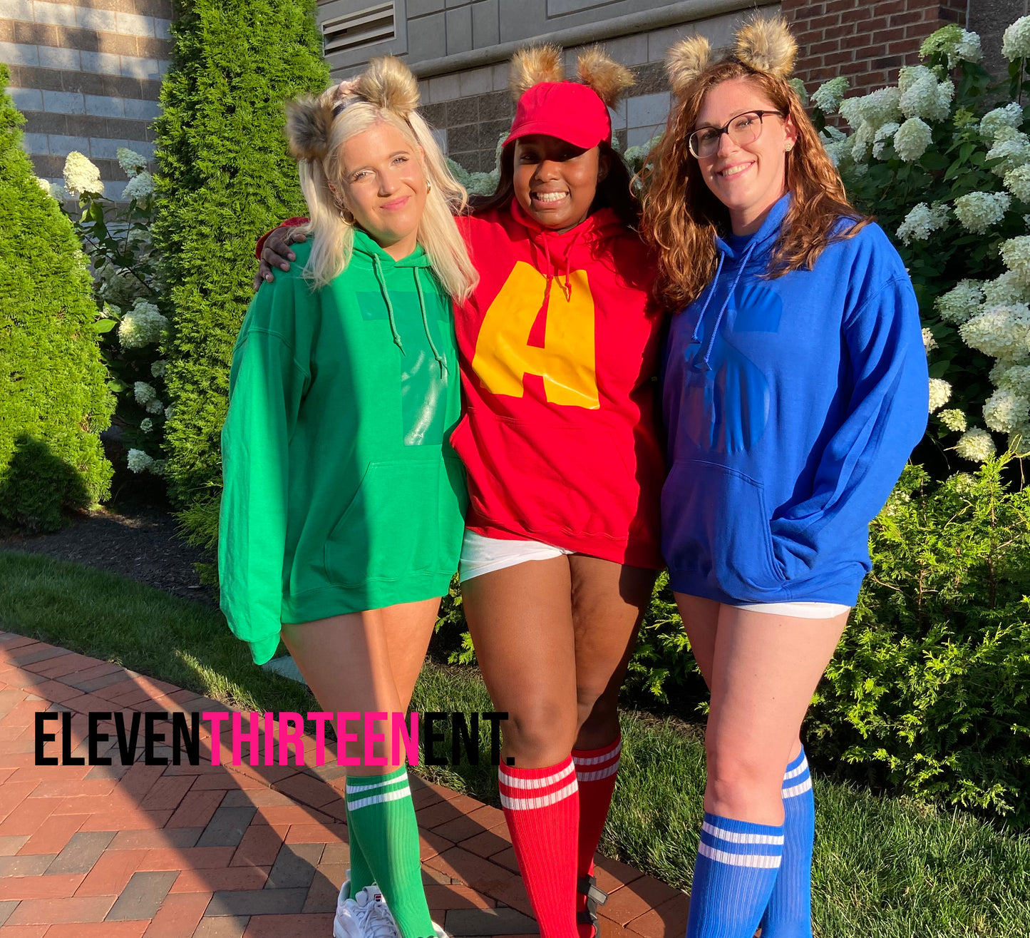 Chipmunks Halloween Costumes (Youth and Adult)