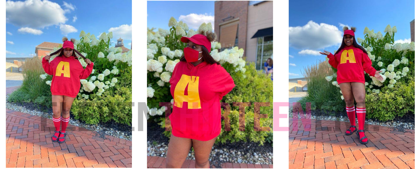 Chipmunks Halloween Costumes (Youth and Adult)