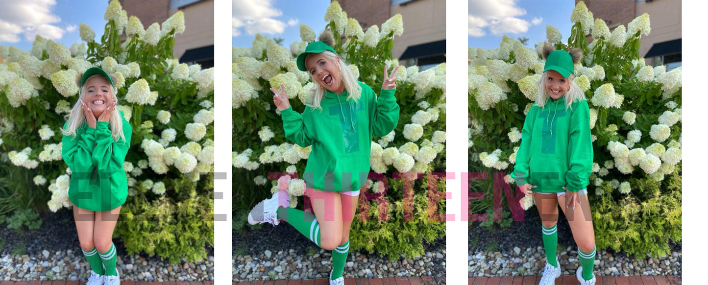 Chipmunks Halloween Costumes (Youth and Adult)