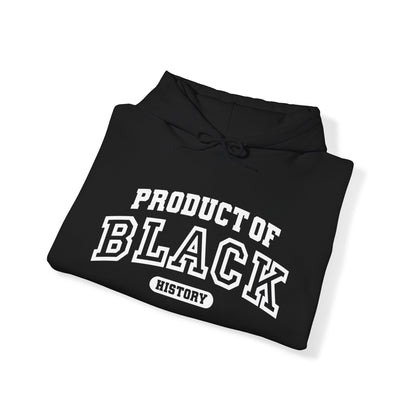 Property Of Black History Month Hoodie