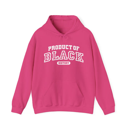 Property Of Black History Month Hoodie