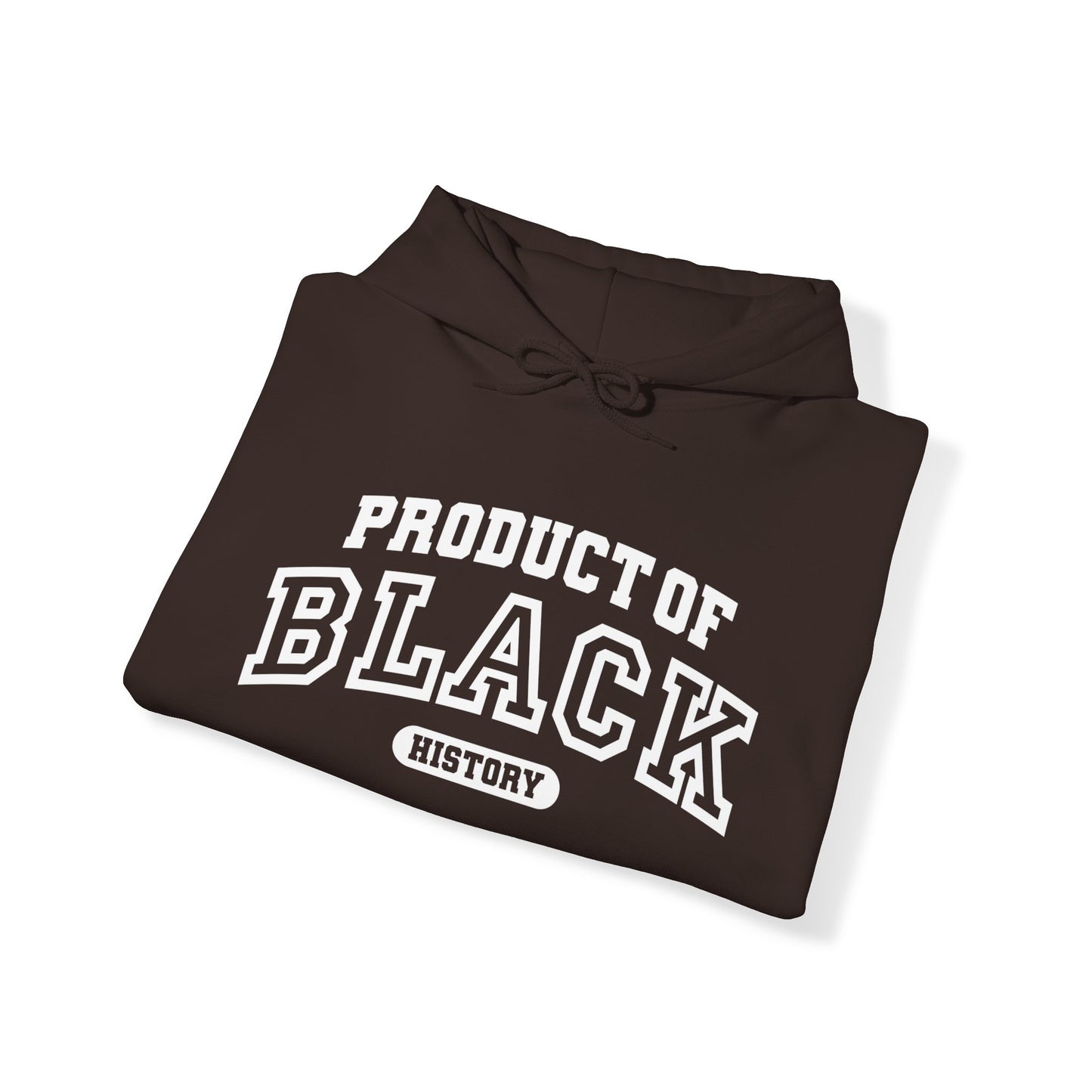 Property Of Black History Month Hoodie