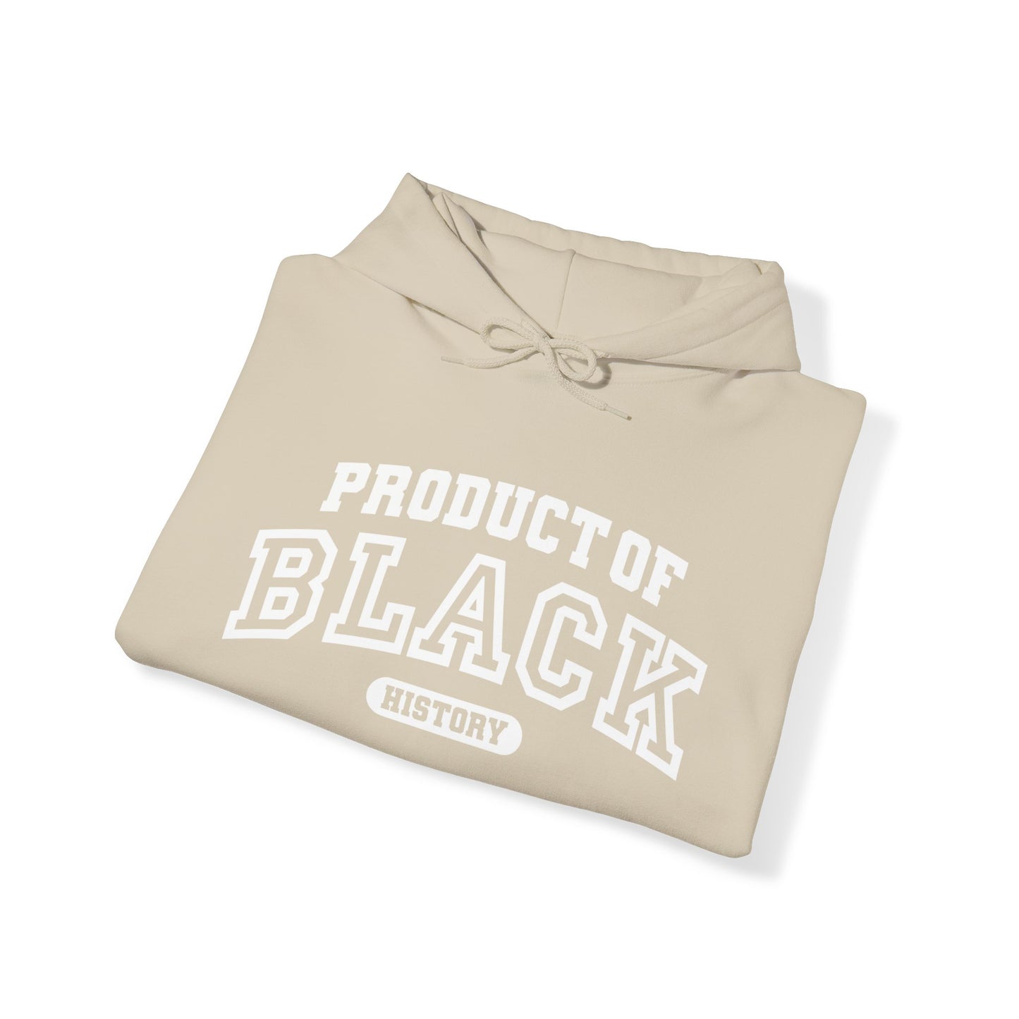 Property Of Black History Month Hoodie