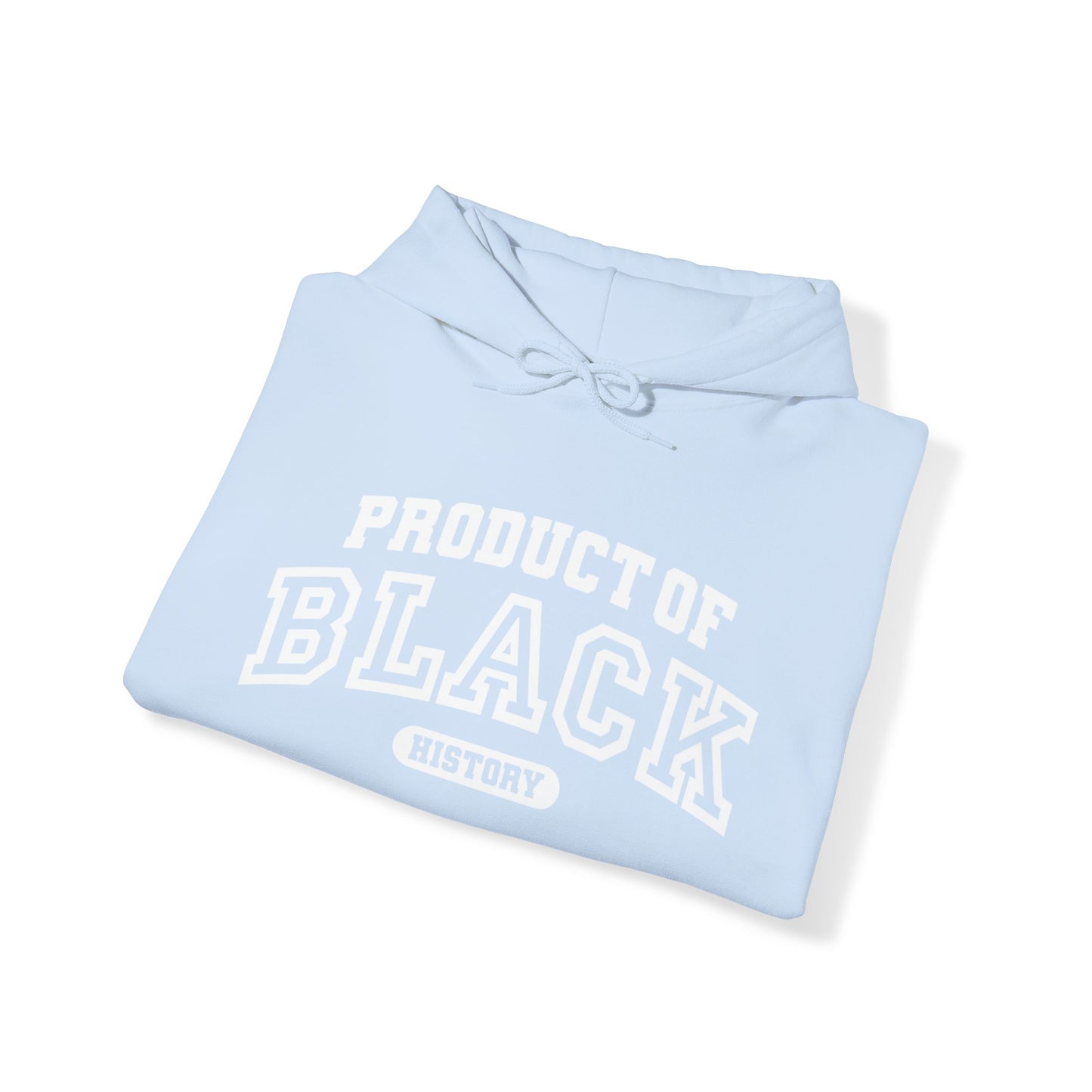 Property Of Black History Month Hoodie