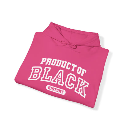 Property Of Black History Month Hoodie