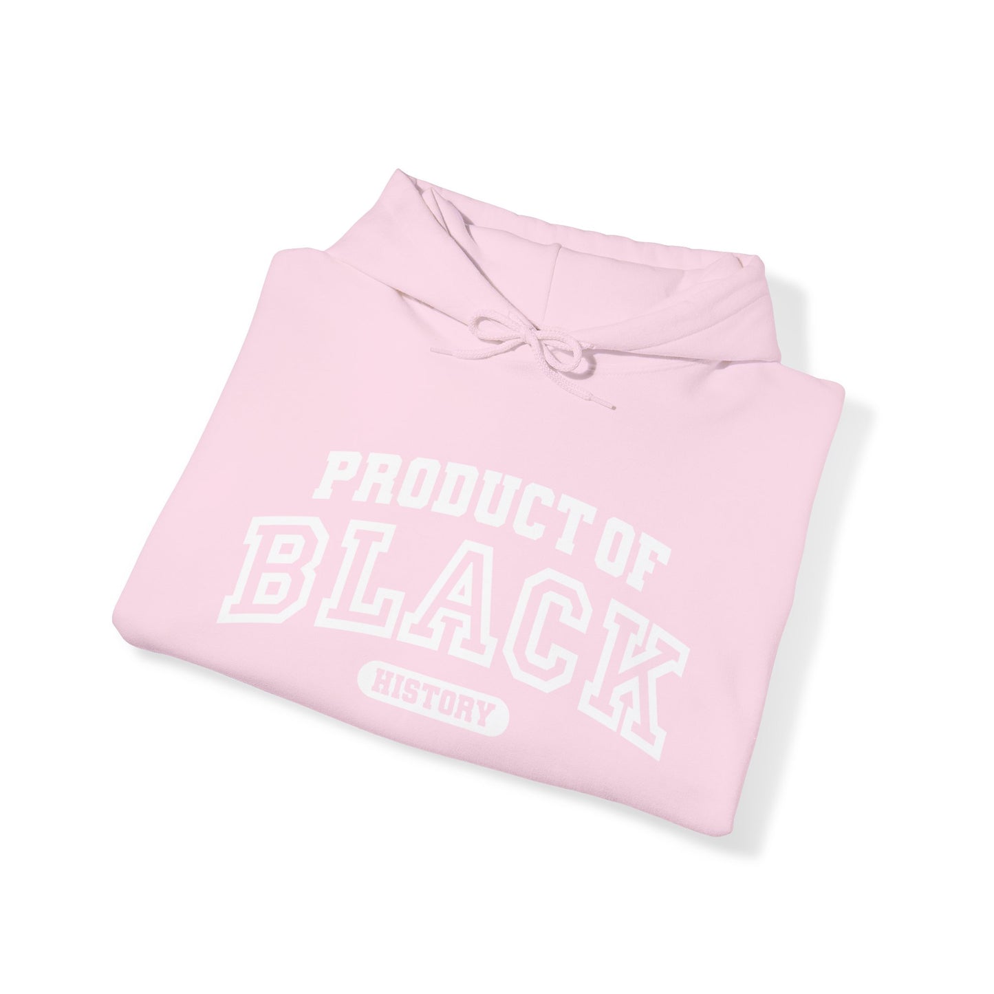 Property Of Black History Month Hoodie