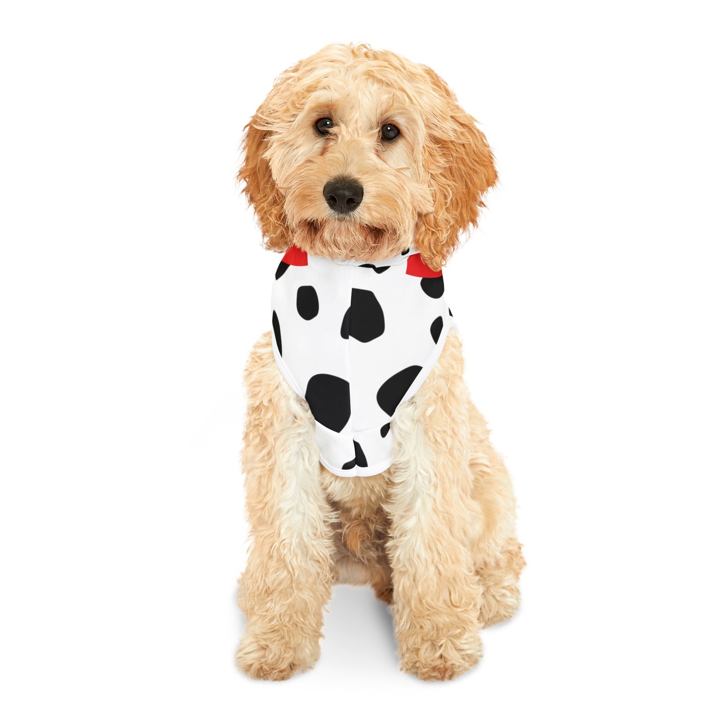 Dalmatian Halloween Hoodie For Pets (Small to Medium Pets)