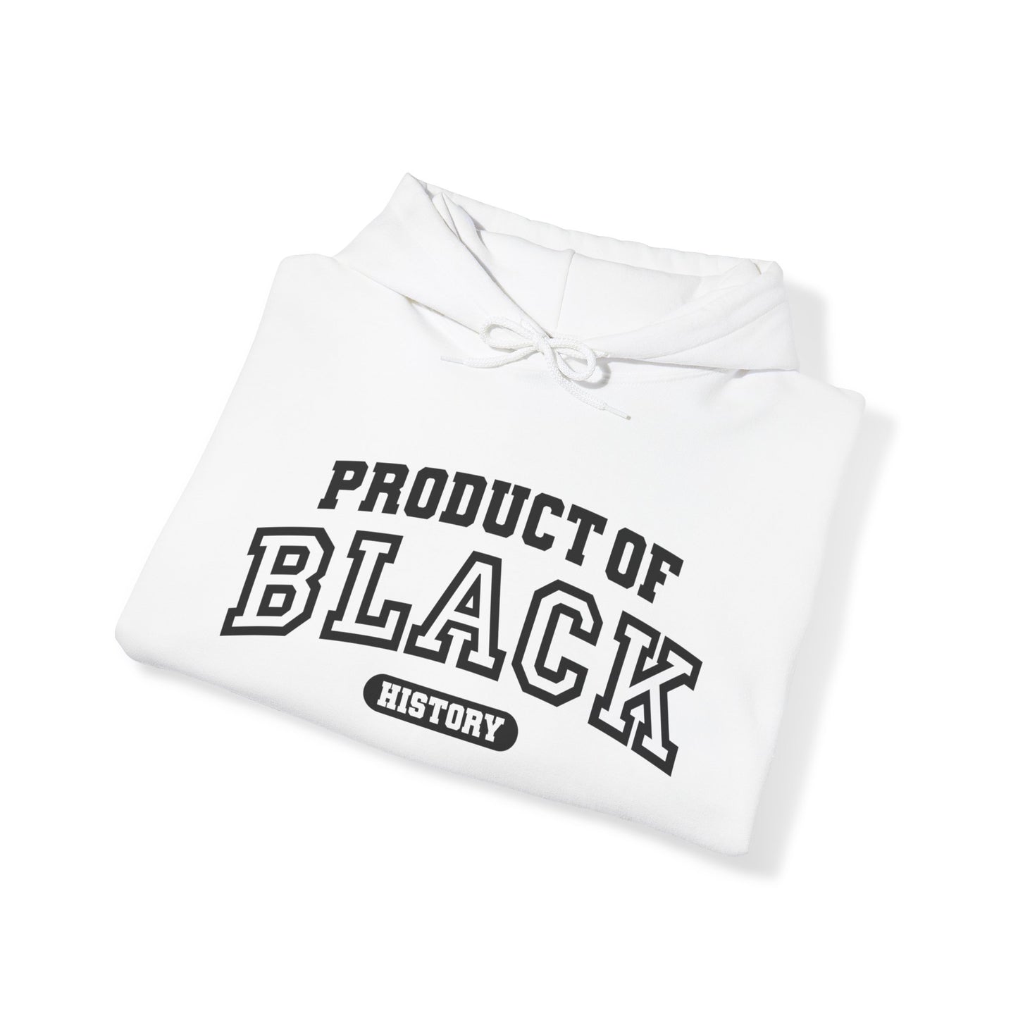 Property Of Black History Month Hoodie