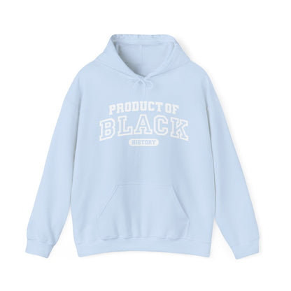 Property Of Black History Month Hoodie