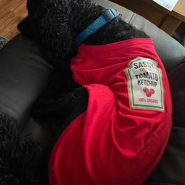 Condiments Shirts For Pet Dogs Cats