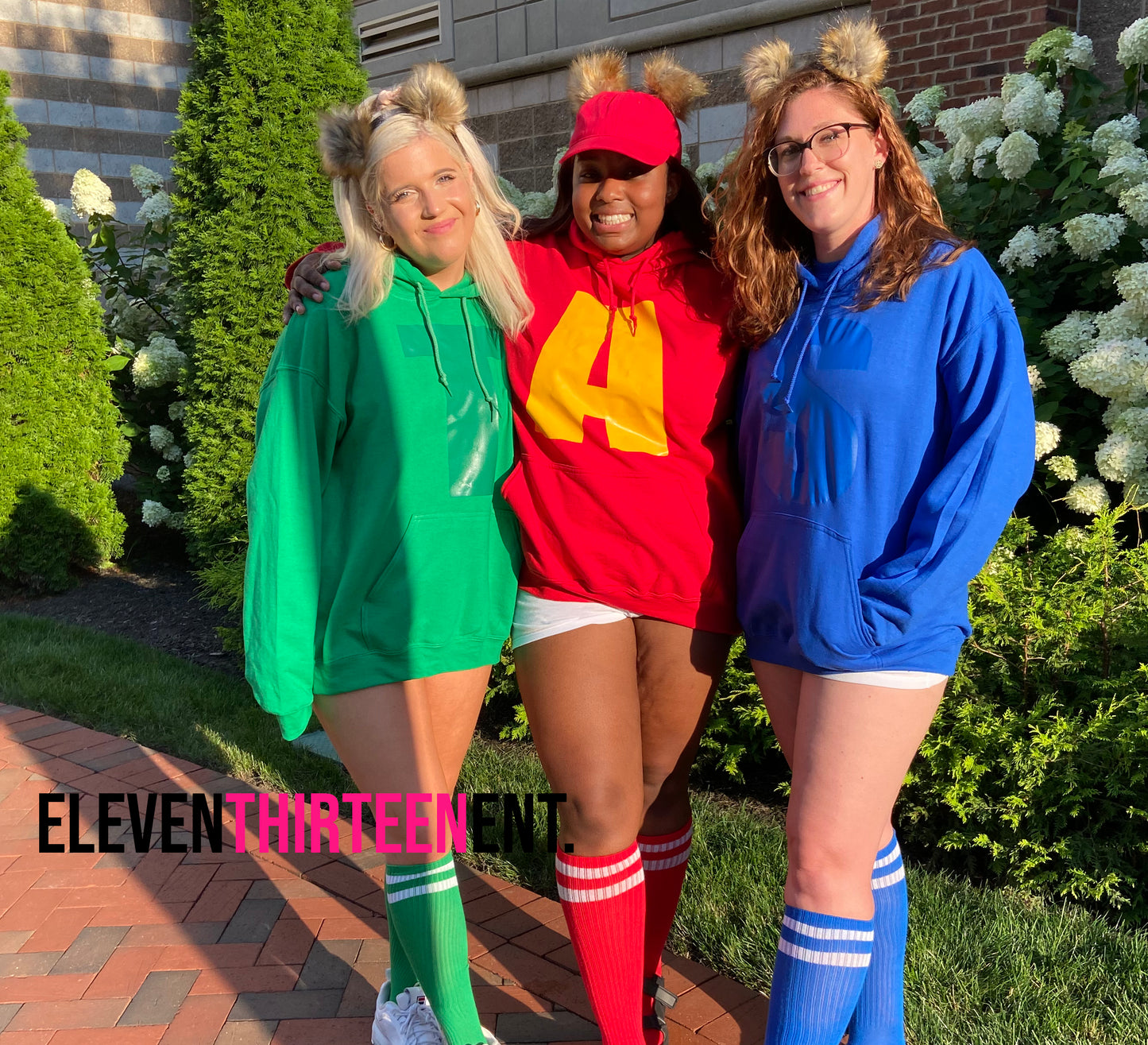 Chipmunks Halloween Costumes (Baby, Youth and Adult)