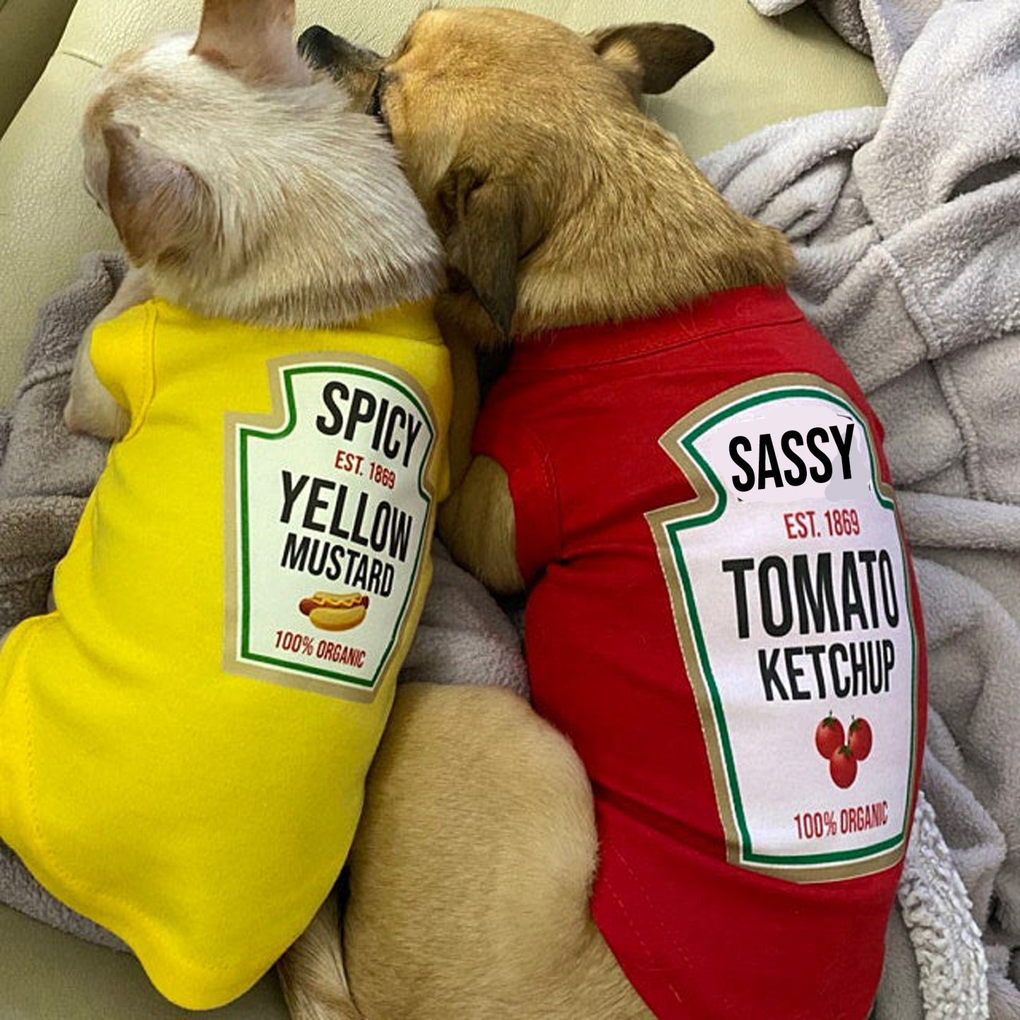 Condiments Shirts For Pet Dogs Cats - Sassy Ketchup®, Spicy Mustard, Sweet Relish