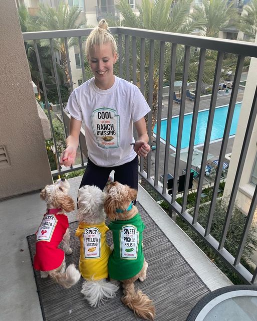 Condiments Shirts For Pet Dogs Cats