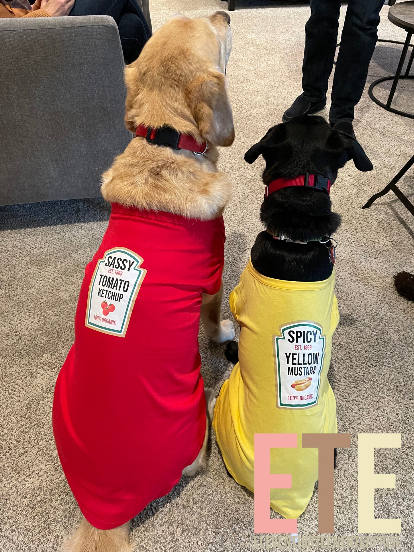 Condiments Shirts For Pet Dogs Cats - Sassy Ketchup®, Spicy Mustard, Sweet Relish
