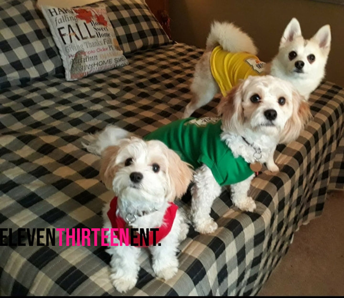 Condiments Shirts For Pet Dogs Cats - Sassy Ketchup®, Spicy Mustard, Sweet Relish