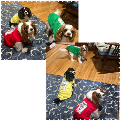 Condiments Shirts For Pet Dogs Cats