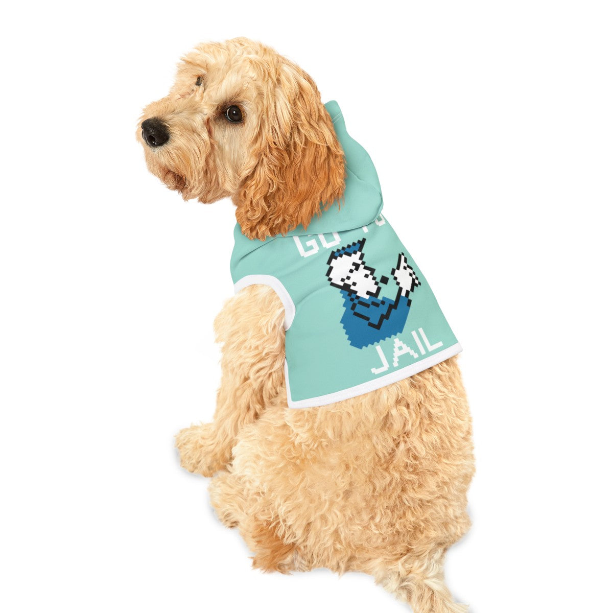 Monopoly Dog Halloween Costumes (Small To Medium Pets)