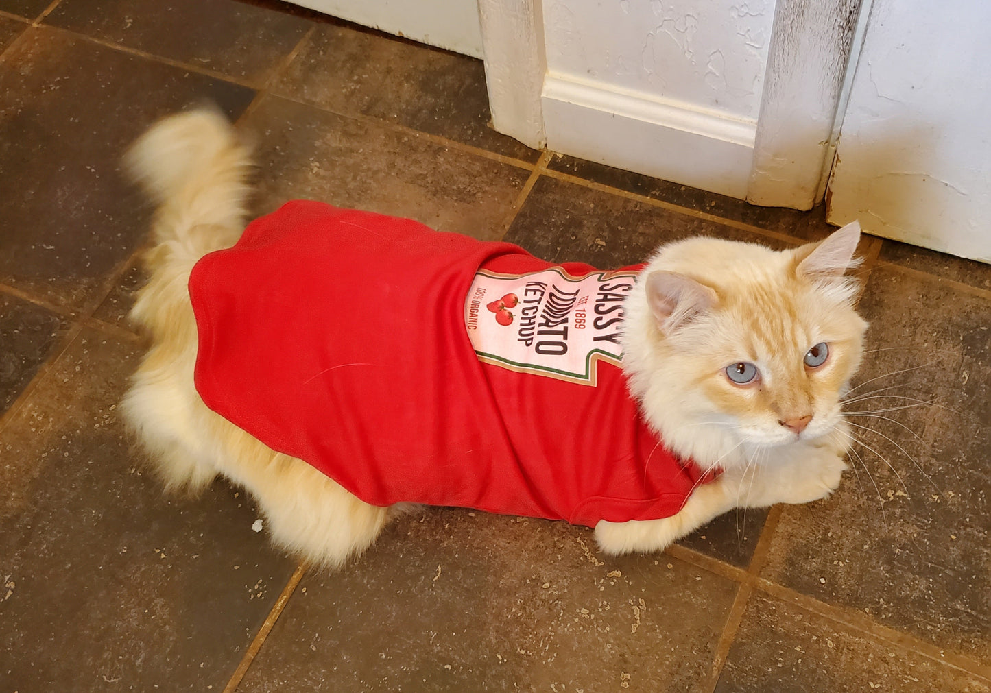 Condiments Shirts For Pet Dogs Cats - Sassy Ketchup®, Spicy Mustard, Sweet Relish