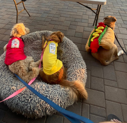 Condiments Shirts For Pet Dogs Cats - Sassy Ketchup®, Spicy Mustard, Sweet Relish