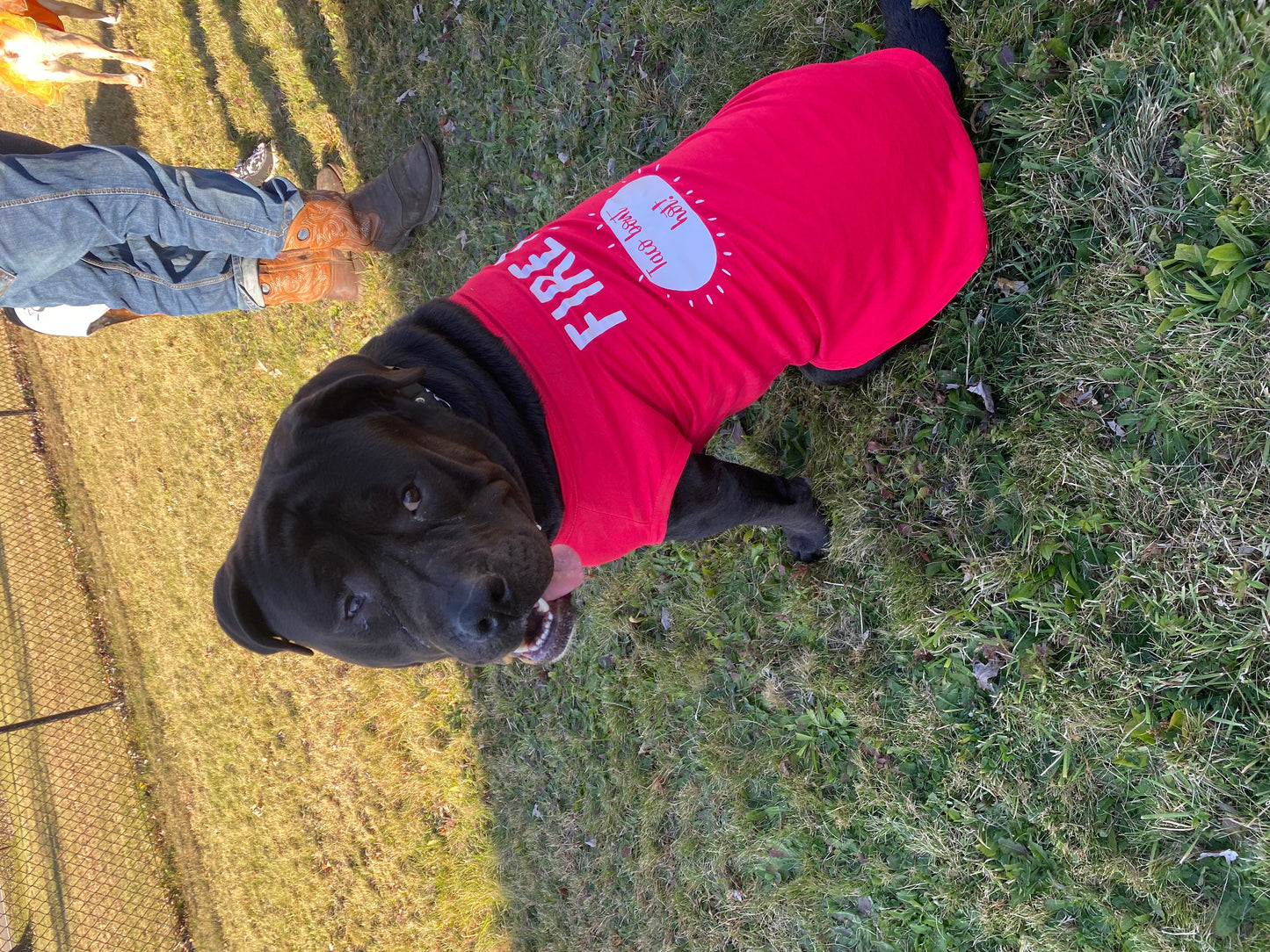 Taco Sauce Packet Shirts For Pet Dogs Cats